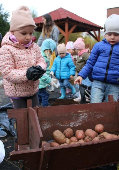 Przedszkole Niepubliczne Promyk